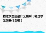物理學(xué)圣劍是什么梗?。ㄎ锢韺W(xué)圣劍是什么梗）