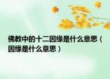 佛教中的十二因緣是什么意思（因緣是什么意思）