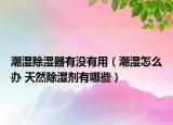 潮濕除濕器有沒有用（潮濕怎么辦 天然除濕劑有哪些）
