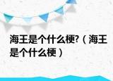 海王是個(gè)什么梗?（海王是個(gè)什么梗）