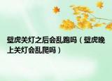 壁虎關(guān)燈之后會亂跑嗎（壁虎晚上關(guān)燈會亂爬嗎）