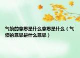 氣憤的意思是什么意思是什么（氣憤的意思是什么意思）