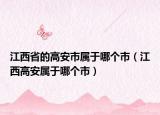 江西省的高安市屬于哪個(gè)市（江西高安屬于哪個(gè)市）