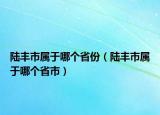 陸豐市屬于哪個省份（陸豐市屬于哪個省市）