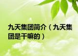 九天集團(tuán)簡(jiǎn)介（九天集團(tuán)是干嘛的）