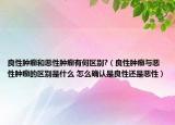良性腫瘤和惡性腫瘤有何區(qū)別?（良性腫瘤與惡性腫瘤的區(qū)別是什么 怎么確認是良性還是惡性）