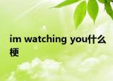 im watching you什么梗