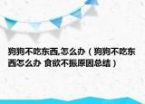 狗狗不吃東西,怎么辦（狗狗不吃東西怎么辦 食欲不振原因總結(jié)）