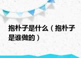 抱樸子是什么（抱樸子是誰(shuí)做的）