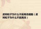 皮姆粒子為什么不能再造細胞（皮姆粒子為什么不能再造）