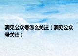 洞見公眾號怎么關(guān)注（洞見公眾號關(guān)注）