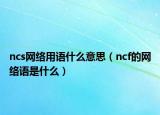 ncs網(wǎng)絡(luò)用語什么意思（ncf的網(wǎng)絡(luò)語是什么）