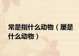 常是指什么動物（屢是什么動物）