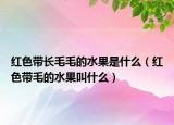 紅色帶長(zhǎng)毛毛的水果是什么（紅色帶毛的水果叫什么）