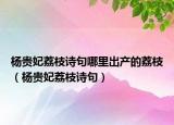 楊貴妃荔枝詩句哪里出產(chǎn)的荔枝（楊貴妃荔枝詩句）