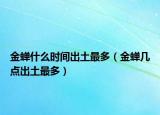 金蟬什么時間出土最多（金蟬幾點出土最多）