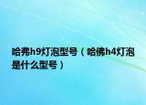 哈弗h9燈泡型號（哈佛h4燈泡是什么型號）