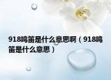 918鳴笛是什么意思?。?18鳴笛是什么意思）