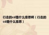 行走的cd是什么意思?。ㄐ凶叩腸d是什么意思）