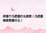 你懂個(gè)幾把是什么意思（幾把是啥意思是什么）