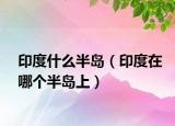 印度什么半島（印度在哪個(gè)半島上）