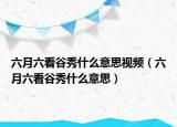 六月六看谷秀什么意思視頻（六月六看谷秀什么意思）