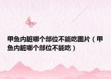 甲魚內(nèi)臟哪個(gè)部位不能吃圖片（甲魚內(nèi)臟哪個(gè)部位不能吃）