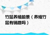 竹鼠養(yǎng)殖前景（養(yǎng)殖竹鼠有銷(xiāo)路嗎）