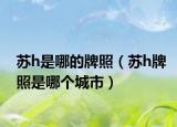 蘇h是哪的牌照（蘇h牌照是哪個(gè)城市）