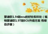 蒙迪歐1.5t刷ecu的好處和壞處（福特蒙迪歐1.5T刷ECU升級(jí)方案 有哪些步驟）