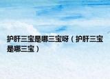 護(hù)肝三寶是哪三寶呀（護(hù)肝三寶是哪三寶）