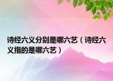 詩(shī)經(jīng)六義分別是哪六藝（詩(shī)經(jīng)六義指的是哪六藝）