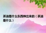 茶油是什么東西榨出來的（茶油是什么）