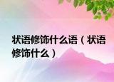 狀語修飾什么語（狀語修飾什么）
