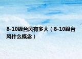 8-10級臺風有多大（8-10級臺風什么概念）