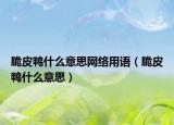 脆皮鴨什么意思網(wǎng)絡(luò)用語（脆皮鴨什么意思）