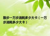 散步一萬步消耗多少大卡（一萬步消耗多少大卡）