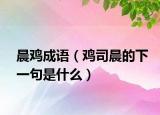 晨雞成語(yǔ)（雞司晨的下一句是什么）