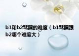 b1和b2駕照的難度（b1駕照跟b2哪個(gè)難度大）