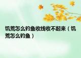 饑荒怎么釣魚收線收不起來（饑荒怎么釣魚）