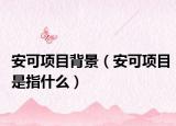 安可項目背景（安可項目是指什么）
