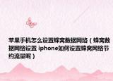 蘋果手機(jī)怎么設(shè)置蜂窩數(shù)據(jù)網(wǎng)絡(luò)（蜂窩數(shù)據(jù)網(wǎng)絡(luò)設(shè)置 iphone如何設(shè)置蜂窩網(wǎng)絡(luò)節(jié)約流量呢）
