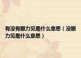 有沒有眼力見是什么意思（沒眼力見是什么意思）
