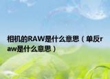 相機(jī)的RAW是什么意思（單反raw是什么意思）