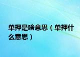 單押是啥意思（單押什么意思）