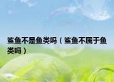 鯊魚(yú)不是魚(yú)類(lèi)嗎（鯊魚(yú)不屬于魚(yú)類(lèi)嗎）