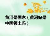 黃河是國家（黃河站是中國領土嗎）
