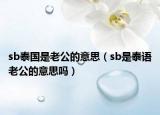 sb泰國(guó)是老公的意思（sb是泰語老公的意思嗎）