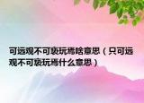 可遠觀不可褻玩焉啥意思（只可遠觀不可褻玩焉什么意思）