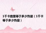 1千卡路里等于多少熱量（1千卡等于多少熱量）